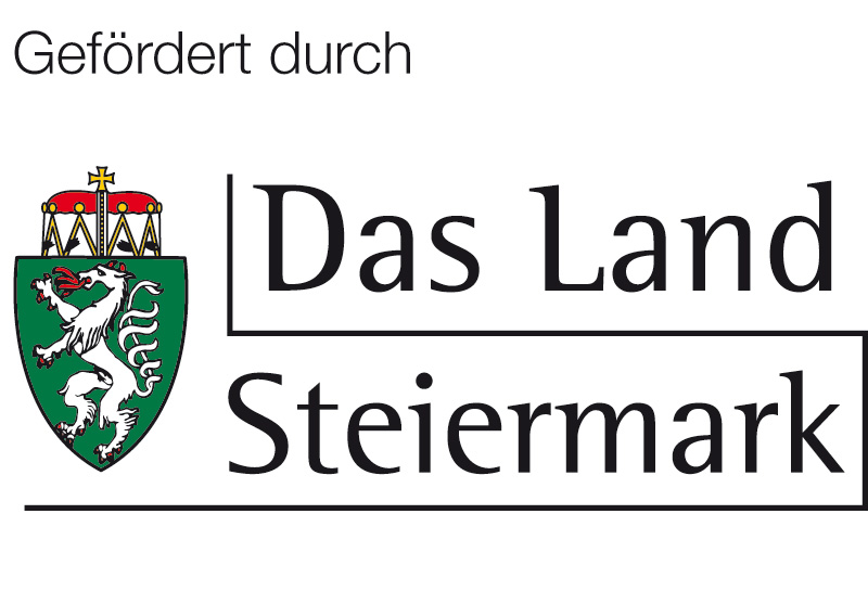 Logo Land Stmk