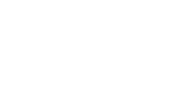 Land Steiermark Logo