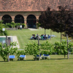 „Geist & Gegenwart“ Pfingstdialog 2017
Transatlantisches Seminar des Stipendienprogramms / Transatlantic Seminar for Scholarship Holders
Foto/Photo: Peter Ramspacher